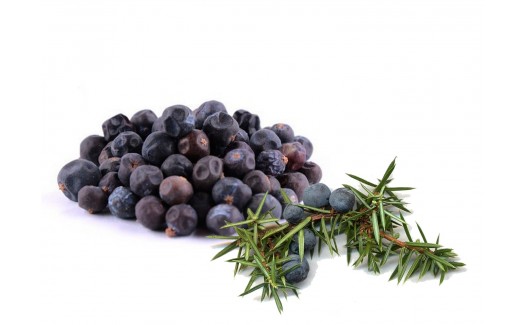 Baies de Genevrier juniperus communis 454gr ( 50% RABAIS )